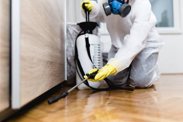 Best Best Pest Control Companies  in Shamrock, TX