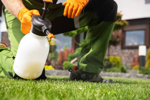 Best Commercial Pest Control Services  in Shamrock, TX