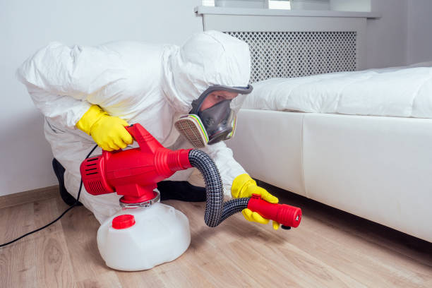 Best Termite Control Services  in Shamrock, TX