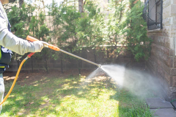 Best Local Pest Control Services  in Shamrock, TX