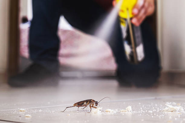 Best Pest Control Near Me  in Shamrock, TX